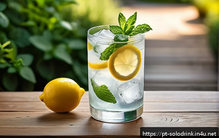 혼술을 위한 저칼로리 술 - A refreshing low carb gin and tonic served in a tall, elegant glass with zero-calorie tonic water, t...